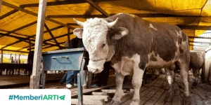 Mengenal Hari Tasyrik Bagi Seorang Muslim