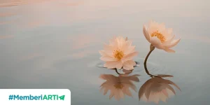 Sedekah Mencegah dari Kematian yang Buruk
